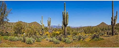 AWERT 30x18 cm Terrárium Háttér Joshua Tree Kék Ég, Hatalmas Kaktuszt Oázis Góbi-Sivatagban Hüllő Élőhely Háttér Tartós Poliészter