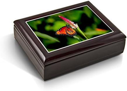 Ragyogó, Színes Monarch Butterfly Csempe Zenélő ékszerdoboz - Sok Dalt Választani - Apuci kislánya