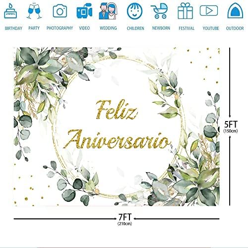 Ticuenicoa 7x5ft Feliz Aniversario Hátteret Mexikói Boldog Évfordulót Fotózás Háttér Zöld Egészségedre, hogy 10 Év alatt