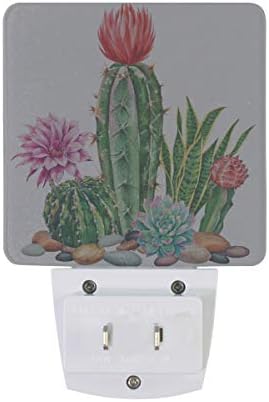 Naanle Készlet 2 Akvarell Kaktusz Zamatos Virágos Trópusi Virág, Levél, Kő Automatikus Érzékelő LED Alkonyat Hajnal Éjszakai