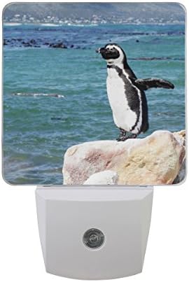 Naanle Készlet 2 Boldog Pingvin, Állj A Kő Nézni, Kék a Víz, a Tenger Óceán Automatikus Érzékelő LED Alkonyat Hajnal Éjszakai