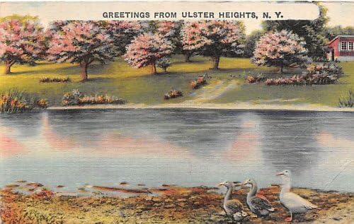 Ulster Heights, New York-I Képeslap